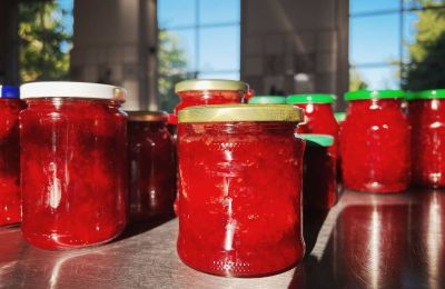 Château médiéval à vendre Mecklembourg-Poméranie-Occidentale, Image 62/97