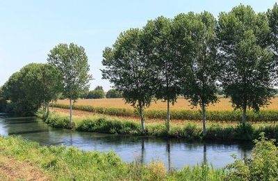 Demeure historique à vendre Goito, Lombardie, Image 27/27