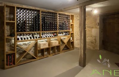 Maison de campagne à vendre Mouzon, Nouvelle-Aquitaine, Cave à vin