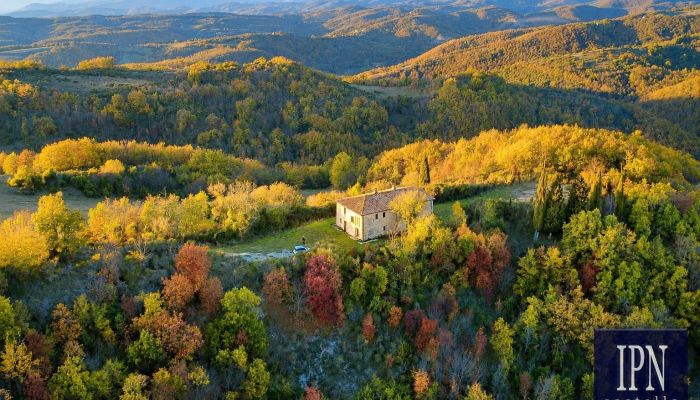  Città di Castello 5