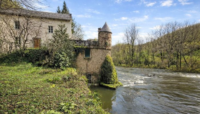 Ancien moulin à vendre près d’Albi avec cascade et 5 000 m² de terrain