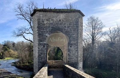 Propriété historique à vendre Sauveterre-de-Béarn, Nouvelle-Aquitaine, Image 24/24