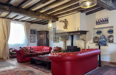 Propriété historique à vendre Sauveterre-de-Béarn, Nouvelle-Aquitaine, Image 4/24