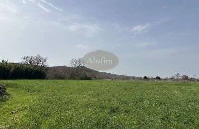 Manoir à vendre Sauveterre-de-Béarn, Nouvelle-Aquitaine, Terrain