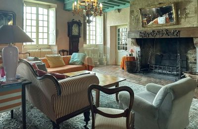 Manoir à vendre Sauveterre-de-Béarn, Nouvelle-Aquitaine, Salle de séjour