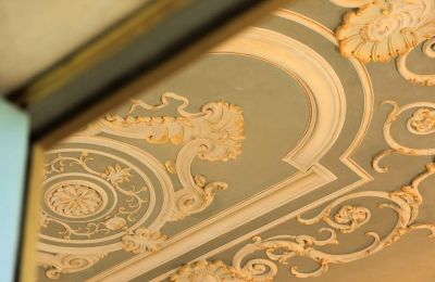 Château à vendre Capannori, Toscane, Détails