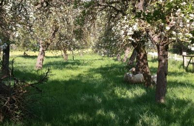 Maison de campagne à vendre Allemagne, Image 29/32