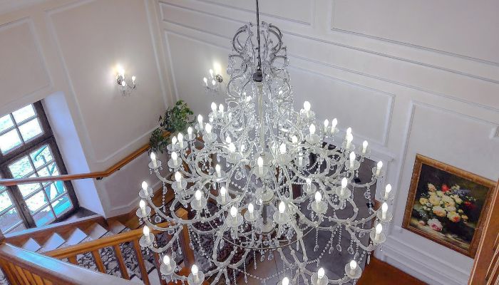 Maison de maître avec parc, étang et hôtel neuf en Pologne centrale – standard quatre étoiles