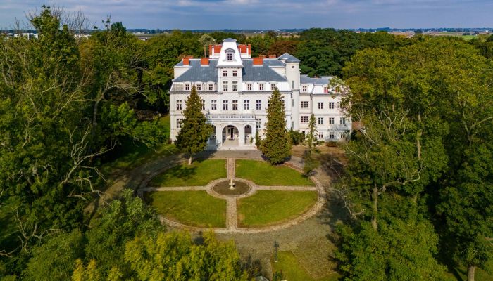 Manoir néorenaissance de prestige à Malina