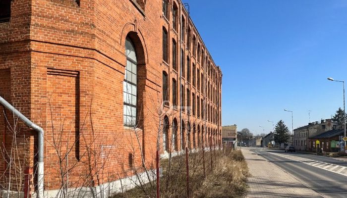  Piotrków Trybunalski 3