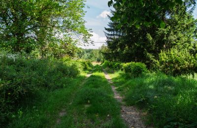 Manoir à vendre Bosowice, Bosowice 80, Sainte-Croix, Image 15/25