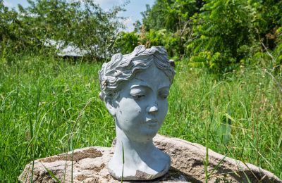 Manoir à vendre Bosowice, Bosowice 80, Sainte-Croix, Image 4/25