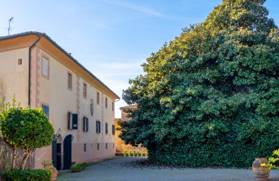 Demeure historique à vendre Crespina, Toscane, Image 33/38