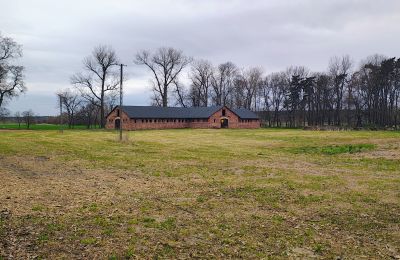 Manoir à vendre Raszków, Sainte-Croix, Image 5/16