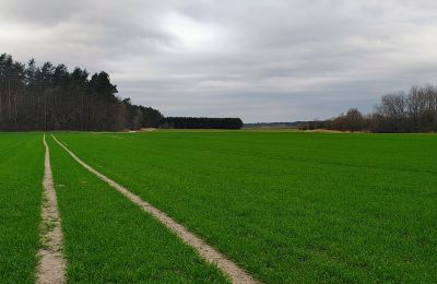 Manoir à vendre Raszków, Sainte-Croix, Image 7/16