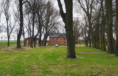 Manoir à vendre Raszków, Sainte-Croix, Image 12/16
