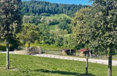 Maison de campagne à vendre Fermo, Marches, Image 80/81