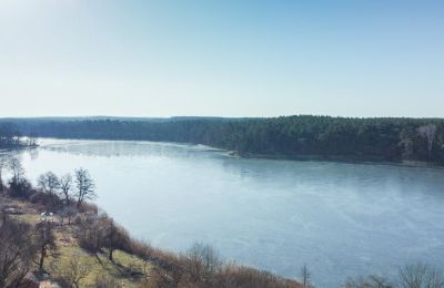 Manoir à vendre Lubusz, Image 14/16