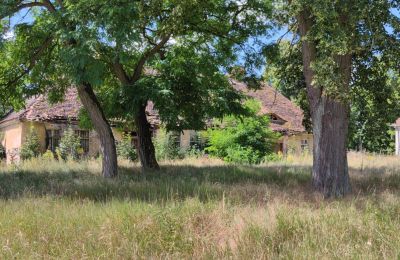 Manoir à vendre Lubusz, Image 7/16