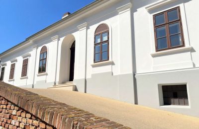 Manoir à vendre Tömörd, Fő utca 11, Comitat de Vas, Entrée