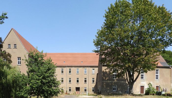 Château à vendre 04603 Nobitz, Thuringe