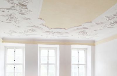 Château à vendre 04603 Nobitz, Thuringe, Image 4/10