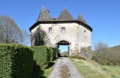 Château médiéval à vendre Nouvelle-Aquitaine, Image 1/13
