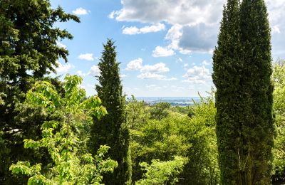Manoir à vendre Limonest, Auvergne-Rhône-Alpes, Image 6/10
