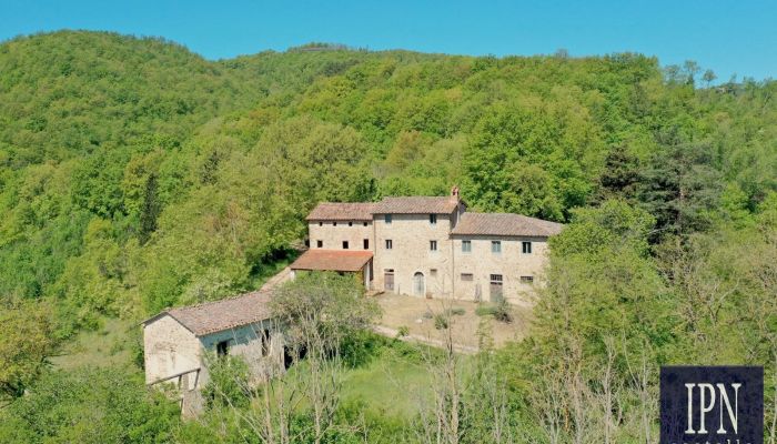 Maison de campagne en pierre avec vue panoramique, grange et ruines d'église