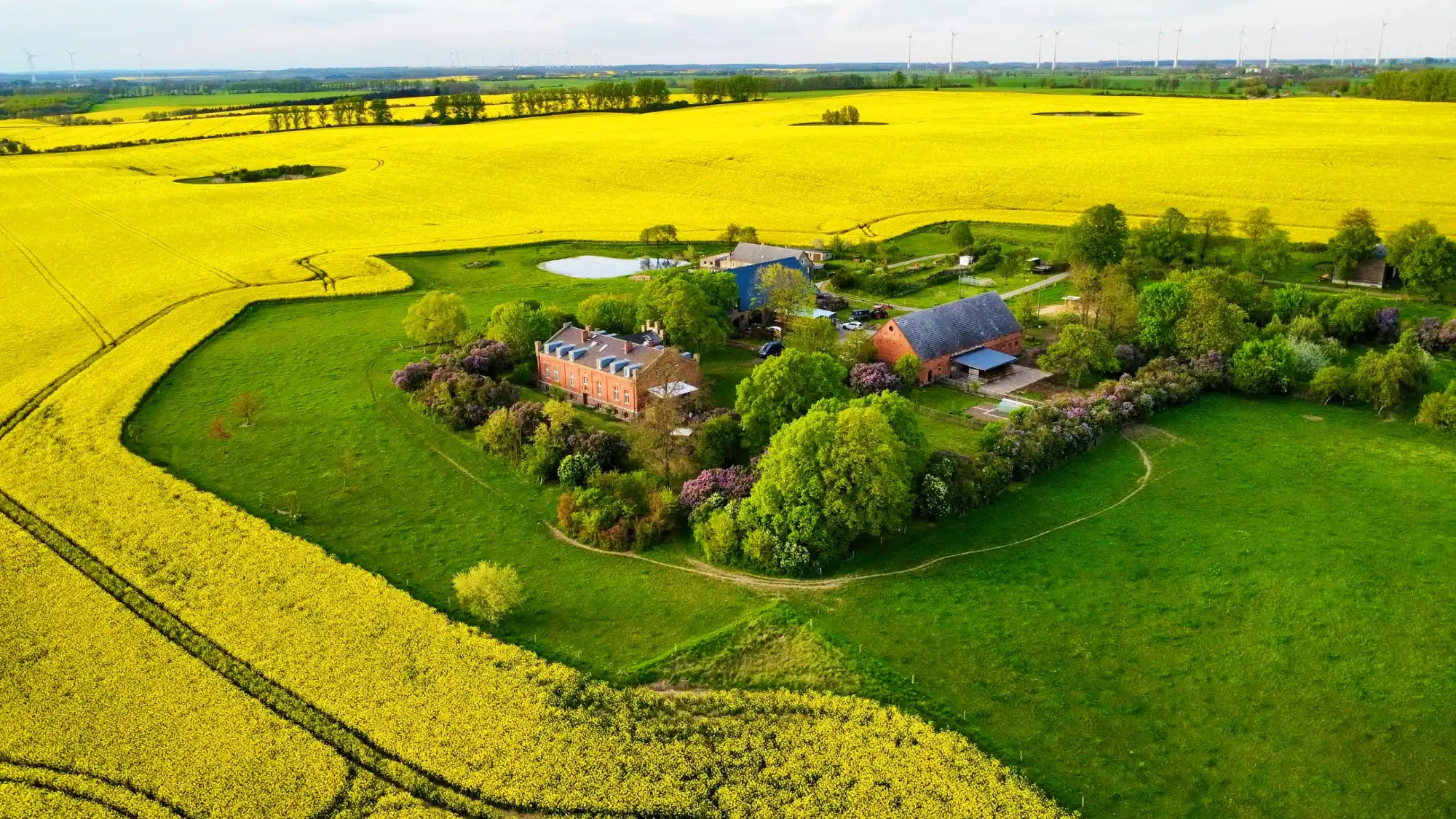 Photos Propriété historique dans l’Uckermark : ensemble isolé avec quatre logements et bâtiments agricoles