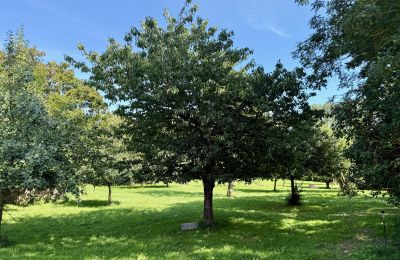 Manoir à vendre Brandebourg, Obstbaumgarten