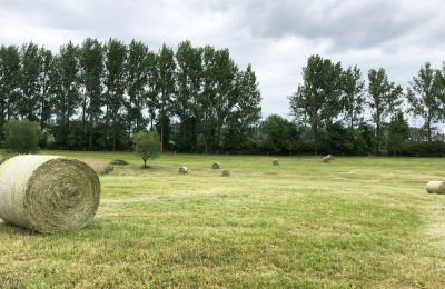Manoir à vendre Brandebourg, Koppel