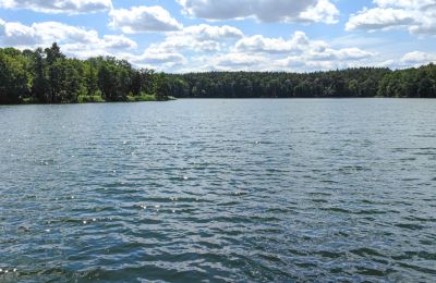 Manoir à vendre 66-300 Bobowicko, Lubusz, Image 5/14