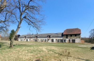 Manoir à vendre 66-300 Bobowicko, Lubusz, Image 10/14