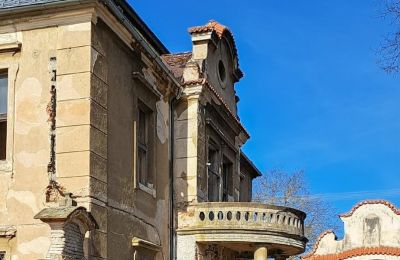 Château à vendre Ronov nad Doubravou, Moravany  1, okres Chrudim, Image 6/17