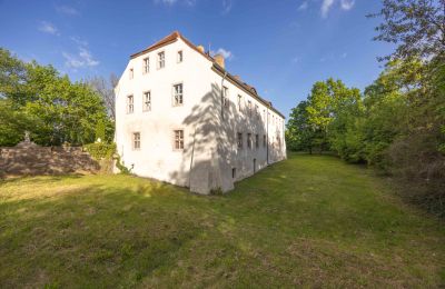 Château médiéval à vendre 16259 Bad Freienwalde (Oder), Brandebourg, Außenansicht