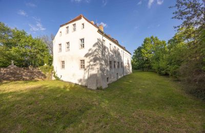 Château à vendre 16259 Bad Freienwalde (Oder), Brandebourg, Vue extérieure
