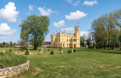 Château à vendre Narok, Opole, Parc
