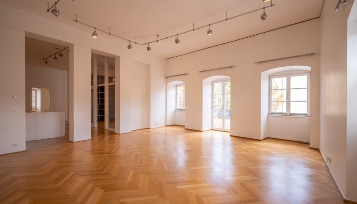 Hôtel particulier à vendre Mainz, Rhénanie-Palatinat