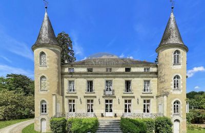 Château La Roche-Posay, Nouvelle-Aquitaine