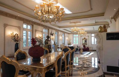 Château à vendre Bade-Wurtemberg, Essbereich