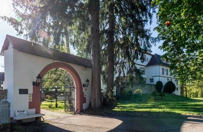 Château à vendre Bade-Wurtemberg, Eingangstor Schlosspark