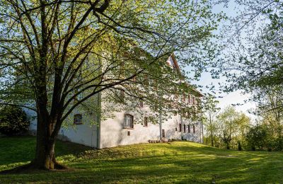 Château à vendre Bade-Wurtemberg, Schloss Ansicht Nord