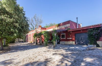 Biens de caractère, Villa à vendre à Francavilla Fontana avec voûtes en étoile et terrain d'un hectare