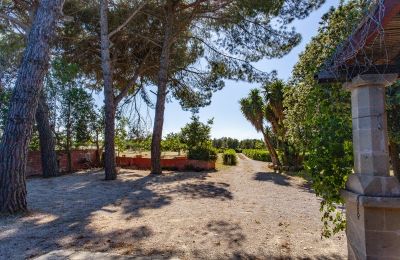Maison de campagne à vendre Francavilla Fontana, Pouilles, Image 26/30