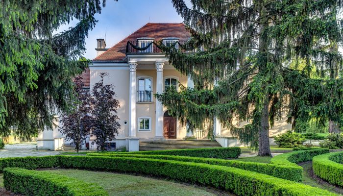 Château à vendre Smoszewo, Mazovie
