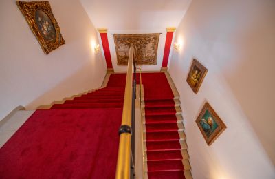 Château à vendre 32683 Alverdissen, Rhénanie-du-Nord-Westphalie, Treppenhaus