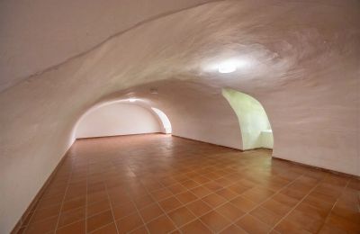 Château à vendre 32683 Alverdissen, Rhénanie-du-Nord-Westphalie, Kellerraum - Ostflügel