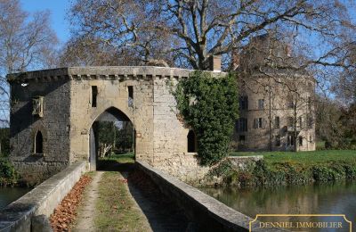 Château médiéval à vendre Valence, Auvergne-Rhône-Alpes, Image 3/28