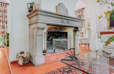 Demeure historique à vendre Castelletto Sopra Ticino, Piémont, Cheminée